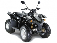 Фотография ATV 100RS